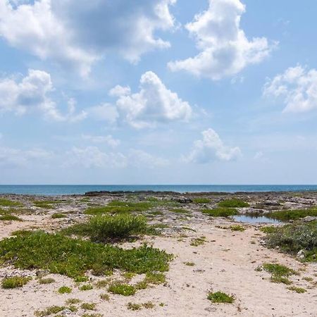Ground Level Garden Condo At Akumal South By Tao Santamar Εξωτερικό φωτογραφία