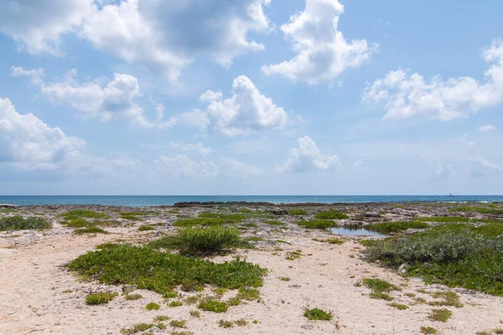 Ground Level Garden Condo At Akumal South By Tao Santamar Εξωτερικό φωτογραφία
