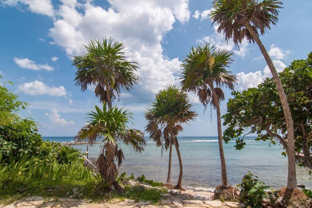 Ground Level Garden Condo At Akumal South By Tao Santamar Εξωτερικό φωτογραφία